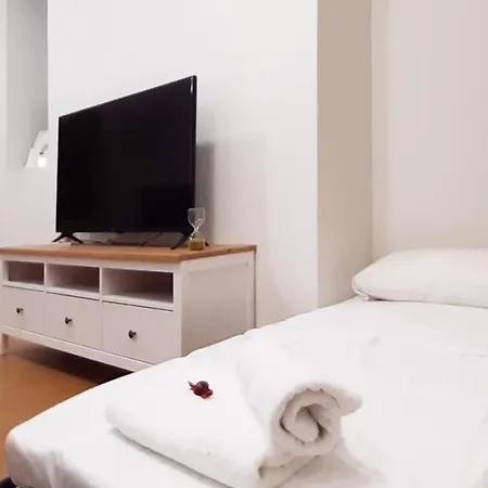 Centrico Acceso Independiente Laranitasalmantina Apartment *